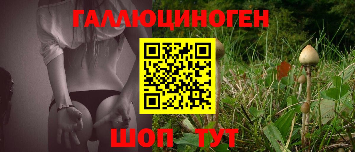 Галлюциногенные грибы прущие грибы  Вход с VPN  Челябинск 